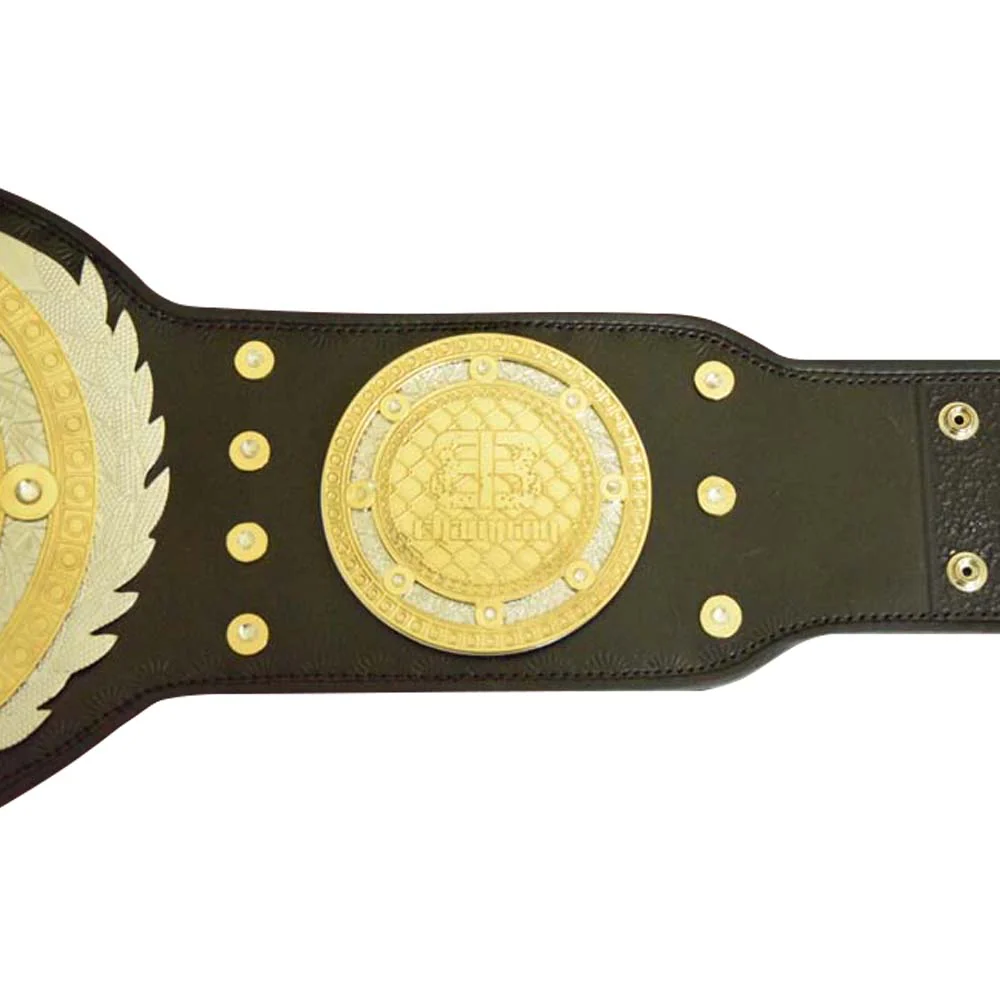 MMA Title Belts - Image 3