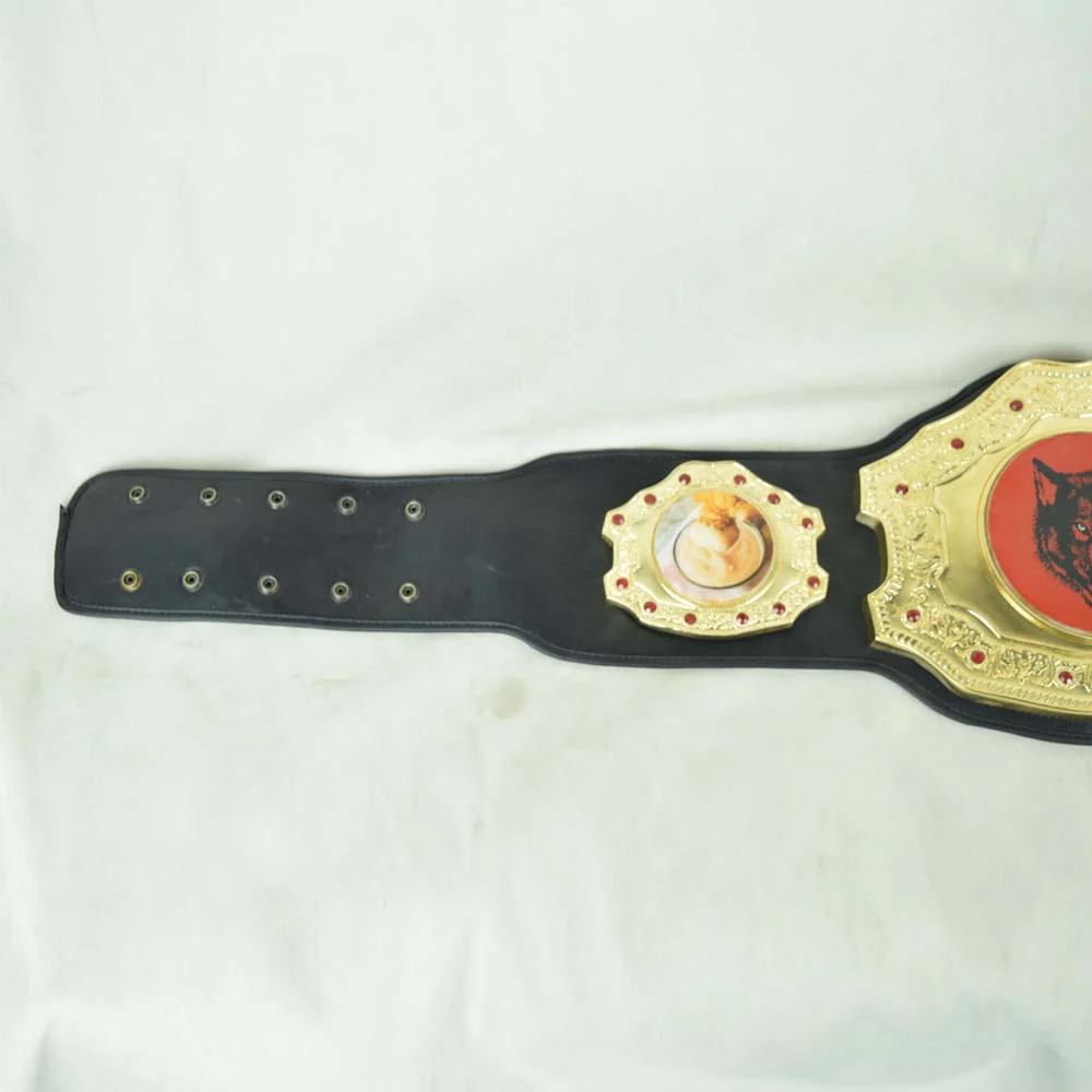 NWO Wolfpac Championship Belt - Image 3