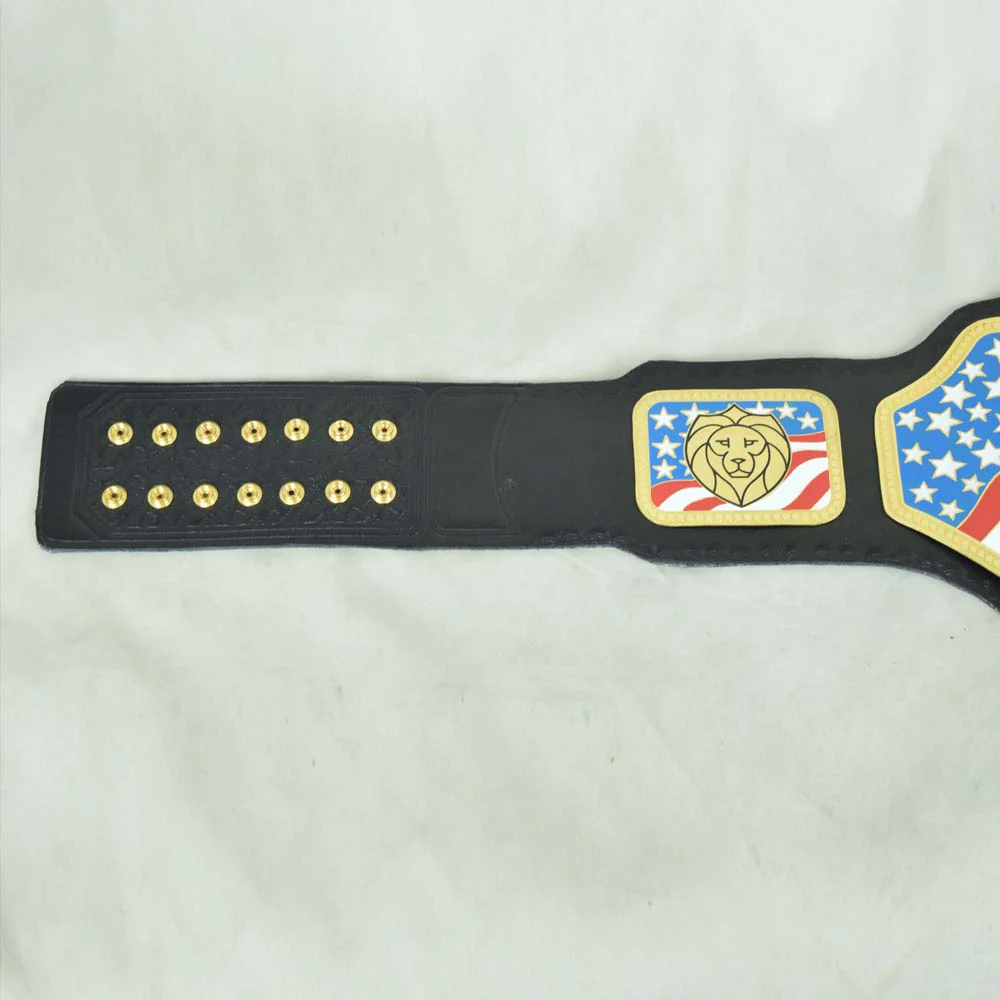 United States Championship Belt - Image 2
