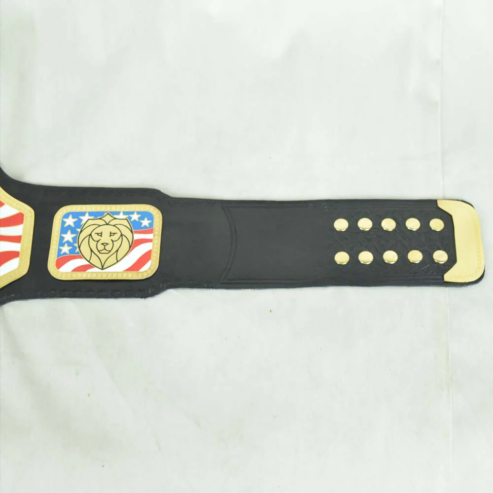 United States Championship Belt - Image 3